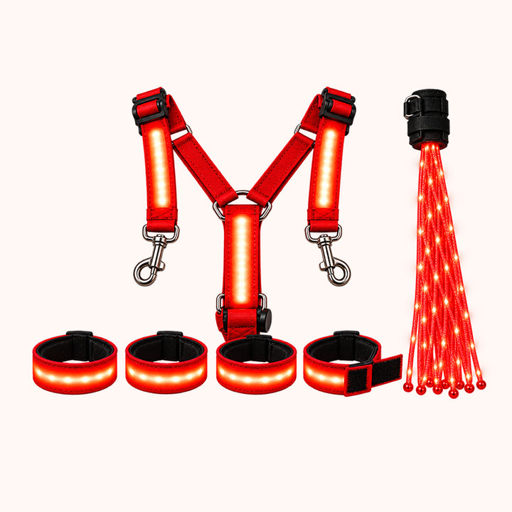 LED Horse Riding Light Set – Illuminated Chest Strap, Leg Bands & Flowing Tail Lights