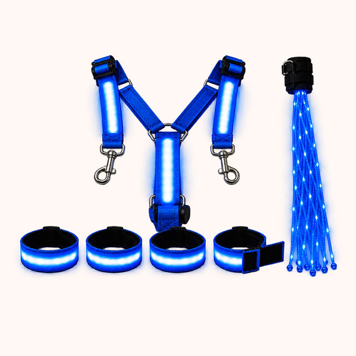 LED Horse Riding Light Set – Illuminated Chest Strap, Leg Bands & Flowing Tail Lights