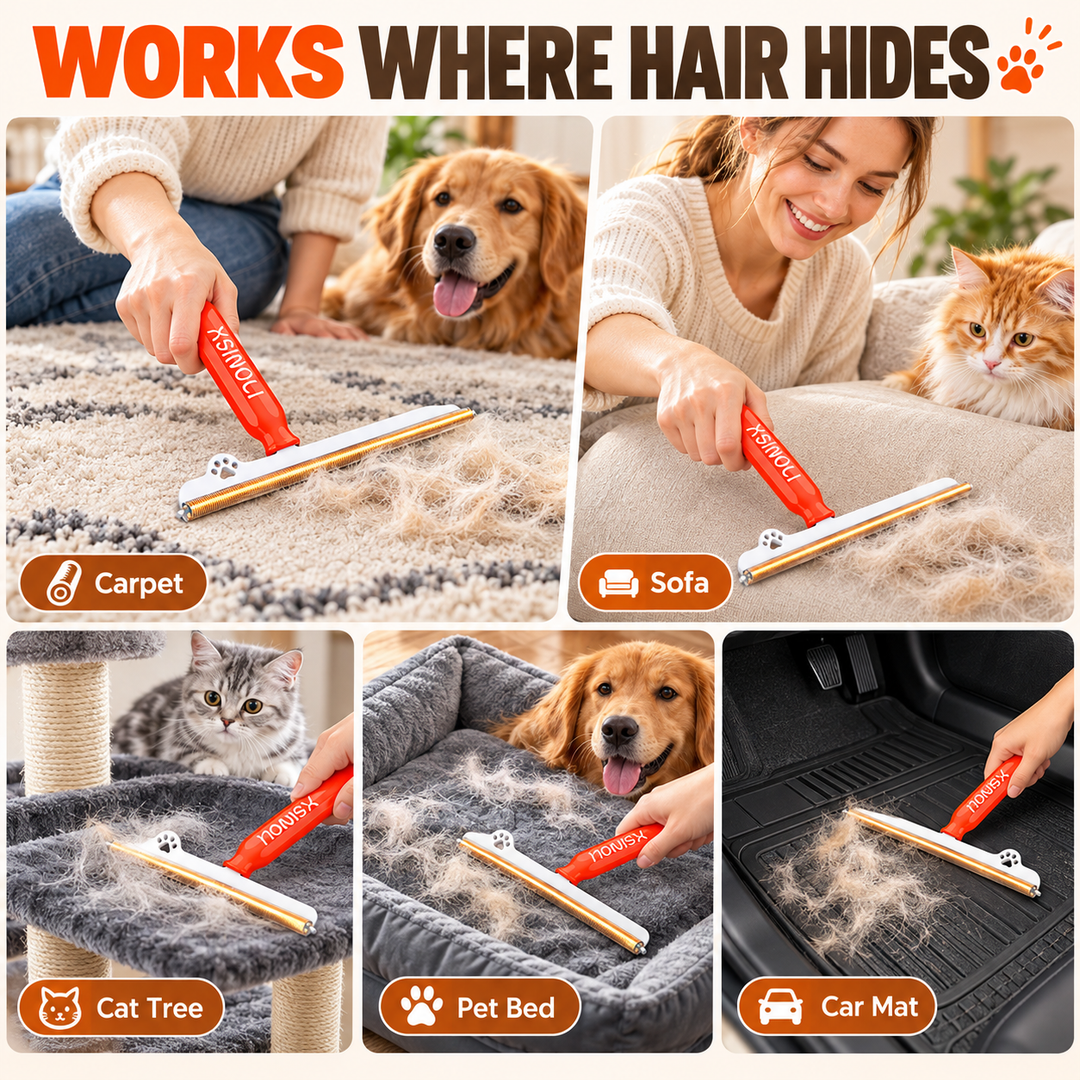 Pet Hair Scraper for Carpets & Car Floor Mats