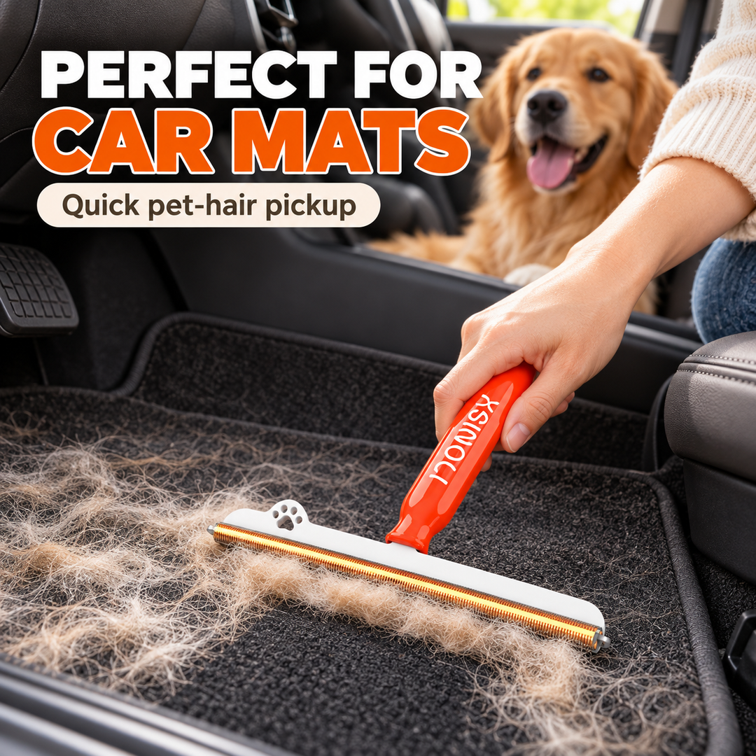 Pet Hair Scraper for Carpets & Car Floor Mats