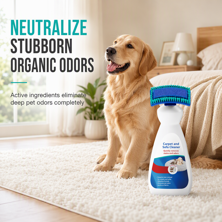 🧼 Waterless Fabric & Carpet Cleaner