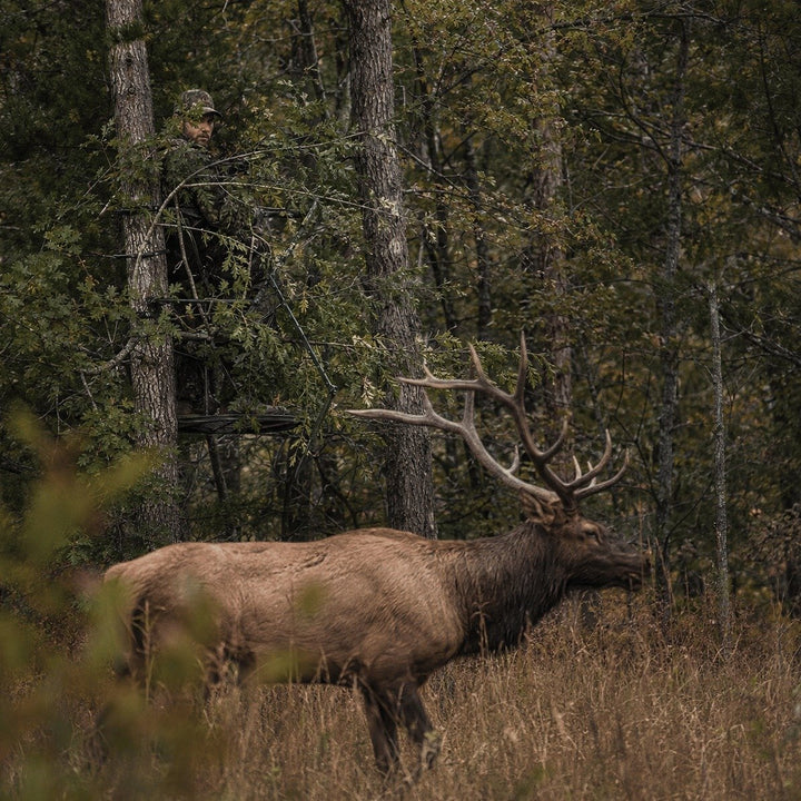 Hunting Concealment Branch Screen Stand