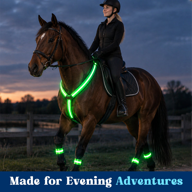 LED Horse Riding Light Set – Illuminated Chest Strap, Leg Bands & Flowing Tail Lights
