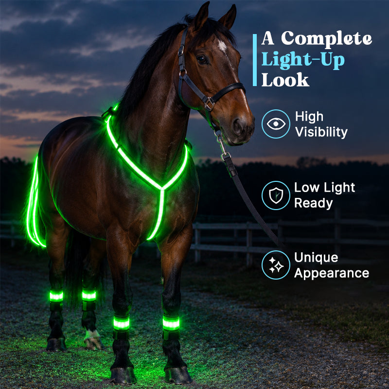LED Horse Riding Light Set – Illuminated Chest Strap, Leg Bands & Flowing Tail Lights