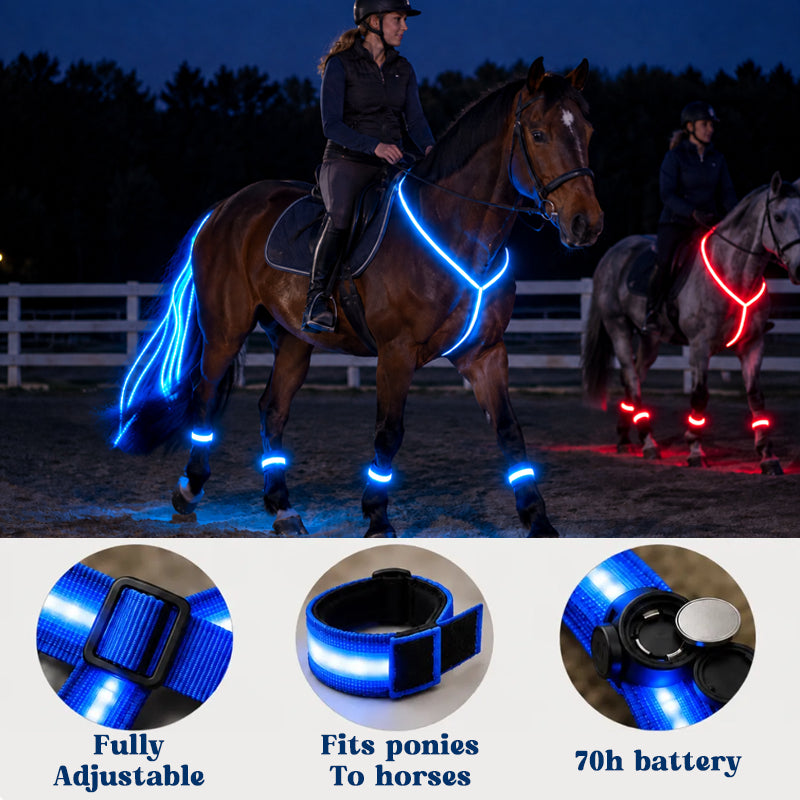 LED Horse Riding Light Set – Illuminated Chest Strap, Leg Bands & Flowing Tail Lights
